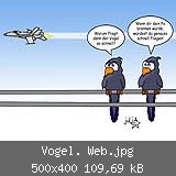 Vogel. Web.jpg