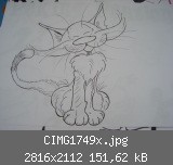 CIMG1749x.jpg