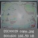 DSC00039 copy.jpg