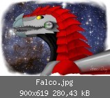 Falco.jpg