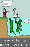 krokodile.jpg