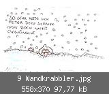 9 Wandkrabbler.jpg