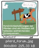 pferd_forum.jpg