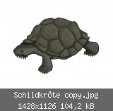 Schildkröte copy.jpg