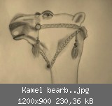 Kamel bearb..jpg