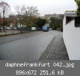daphnefrankfurt 042.jpg