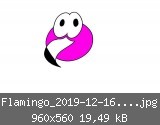 Flamingo_2019-12-16_20-58-04.jpg