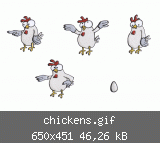 chickens.gif