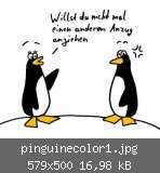 pinguinecolor1.jpg
