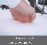 Schnee-1.gif
