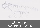 _Tiger.jpg