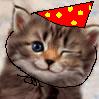 ava_katze_partyhut.jpg