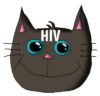 pussy neu + kolo copy+ hivgroßß+waisavv.jpg