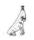 banane03.jpg
