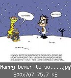 Harry bemerkte sogleich....jpg