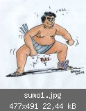 sumo1.jpg